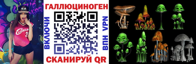 Псилоцибиновые грибы ЛСД  где найти наркотики  Туран 