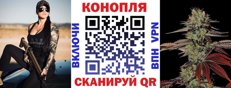 Конопля сатива  купить наркотики цена  Туран 